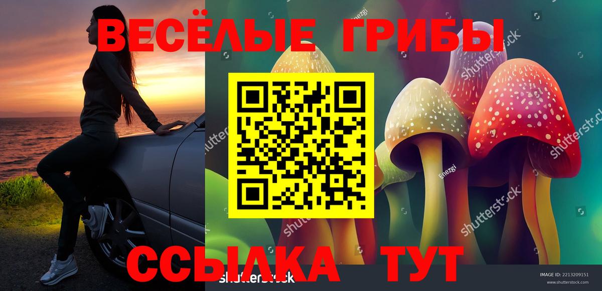 Нижний Тагил  Псилоцибиновые грибы мухоморы  Вход с VPN 
