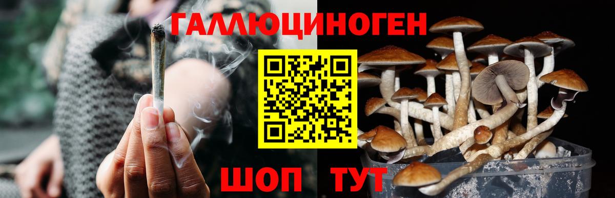 Галлюциногенные грибы Magic Shrooms Нижний Тагил