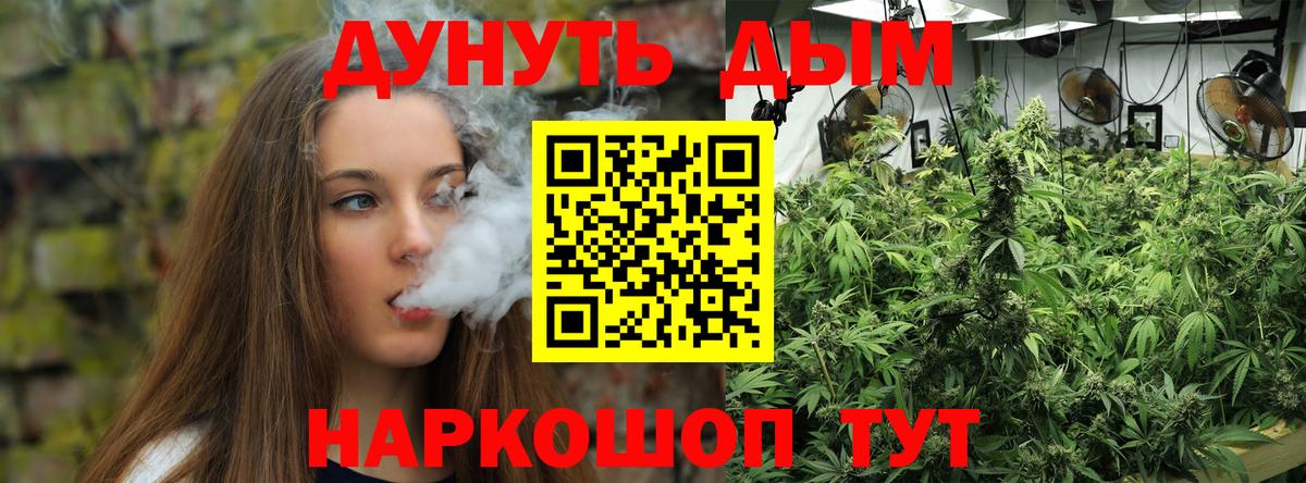 Нижний Тагил  Канабис Bruce Banner  Каннабис семена  Вход с VPN  МАРИХУАНА сатива 